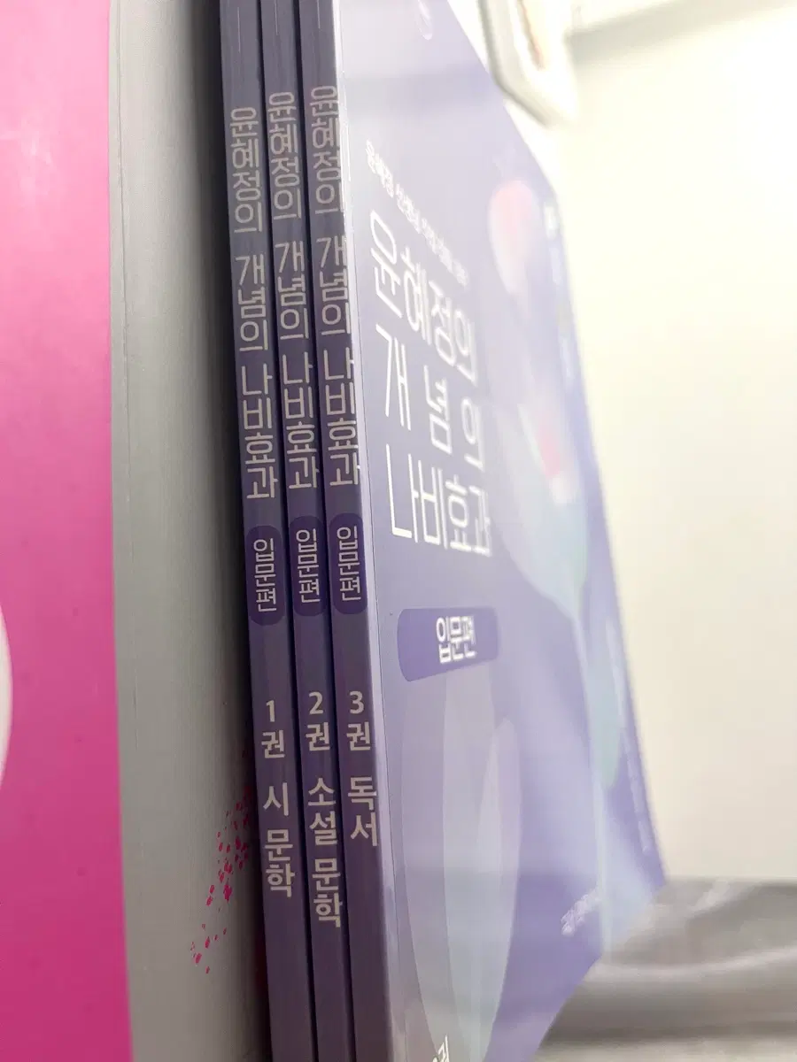 윤혜정의 개념의 나비효과 입문편 (독서,소설,시)