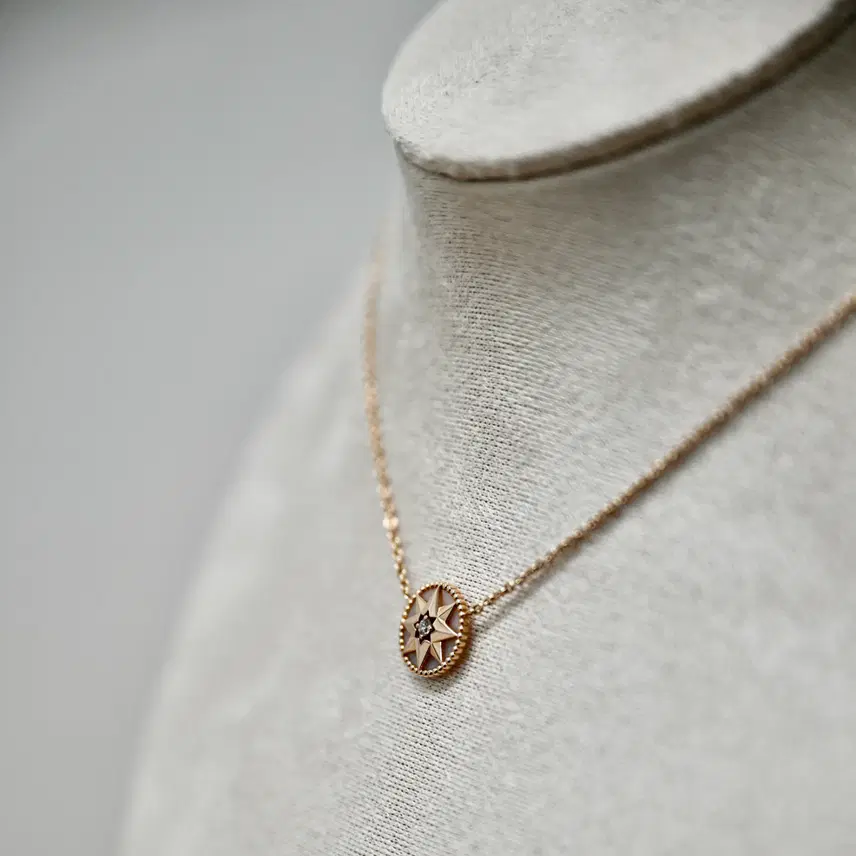 디올 [정품] 디올(DIOR) 로즈 드 방(Rose des Vents) 다이아 목걸이 사진 2