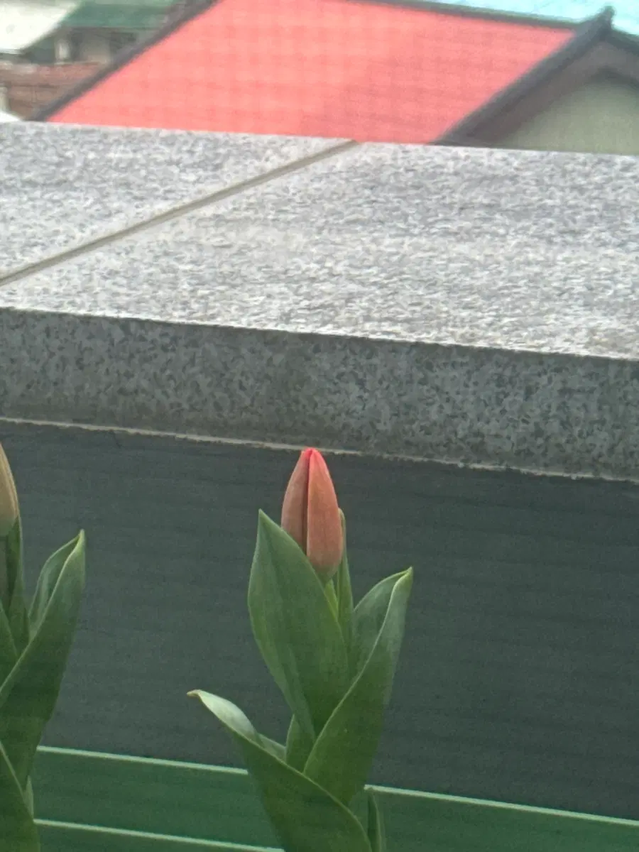 개념원리 수1 수2