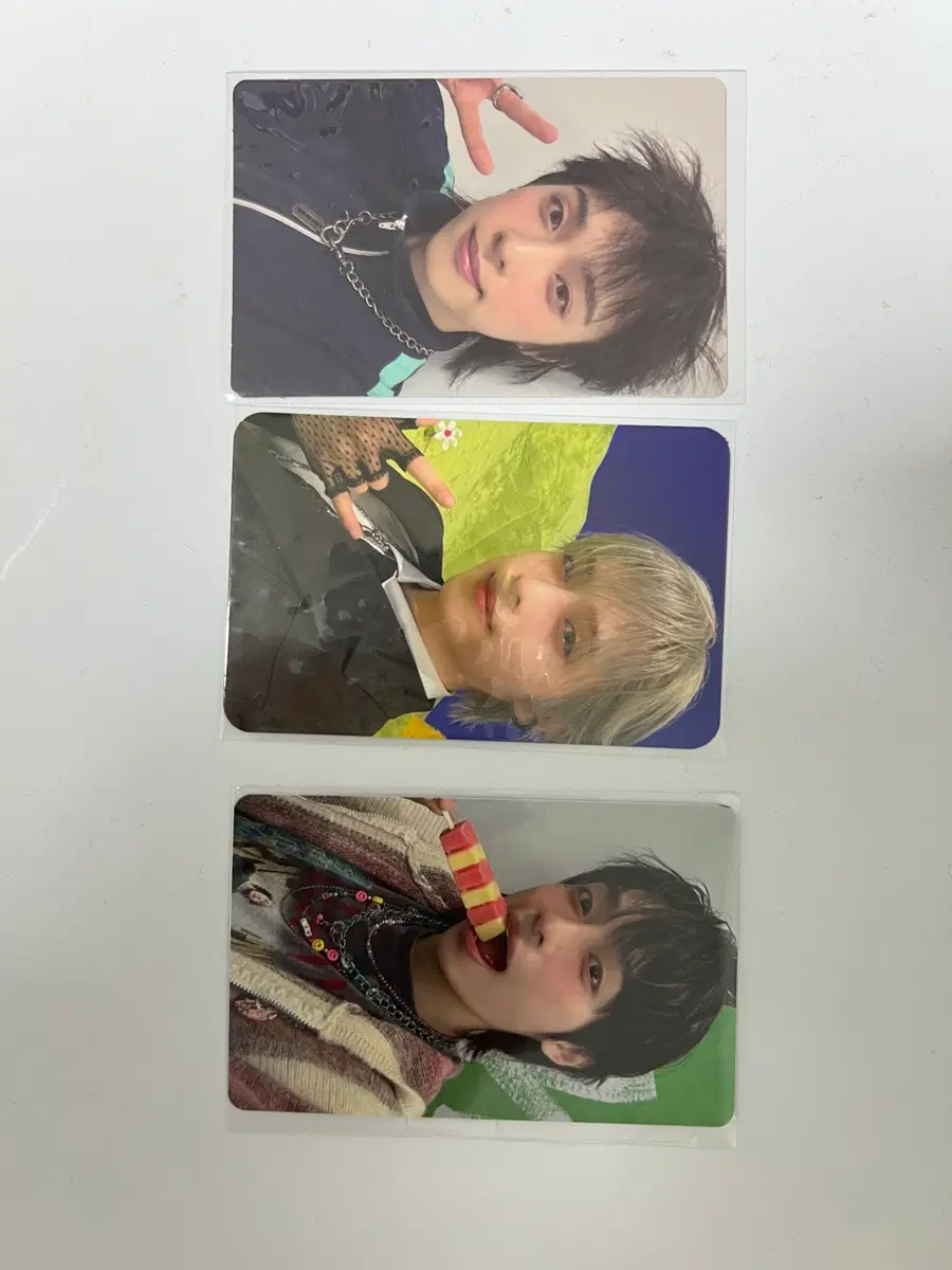 엑디즈 가온 포카 일괄 판매