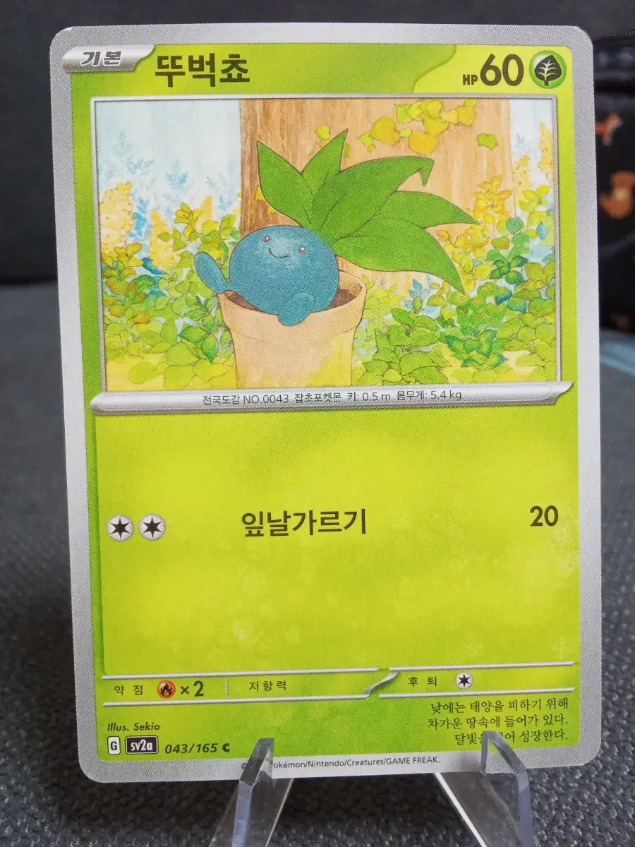포켓몬카드 뚜벅쵸 sv2a 043/165 C