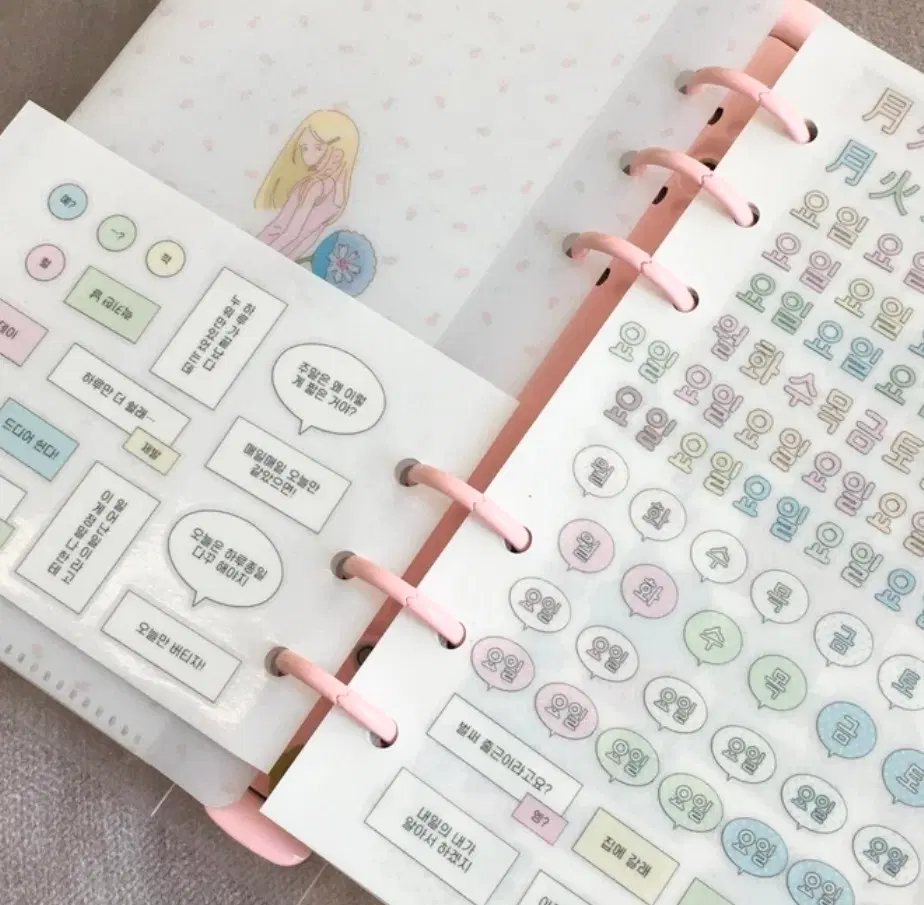 포랑 월화수목금토일 키스컷 소분