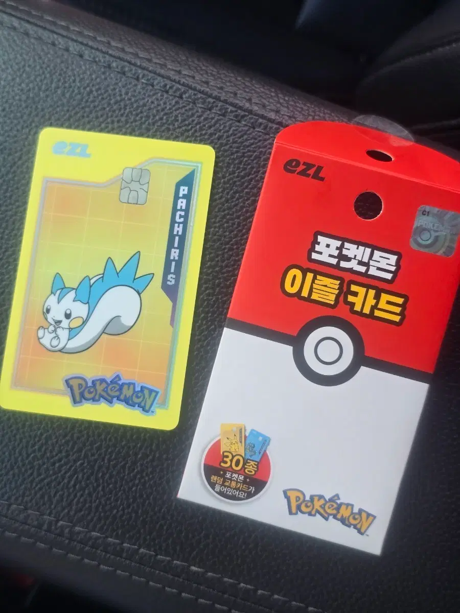 파치리스 포켓몬 교통카드