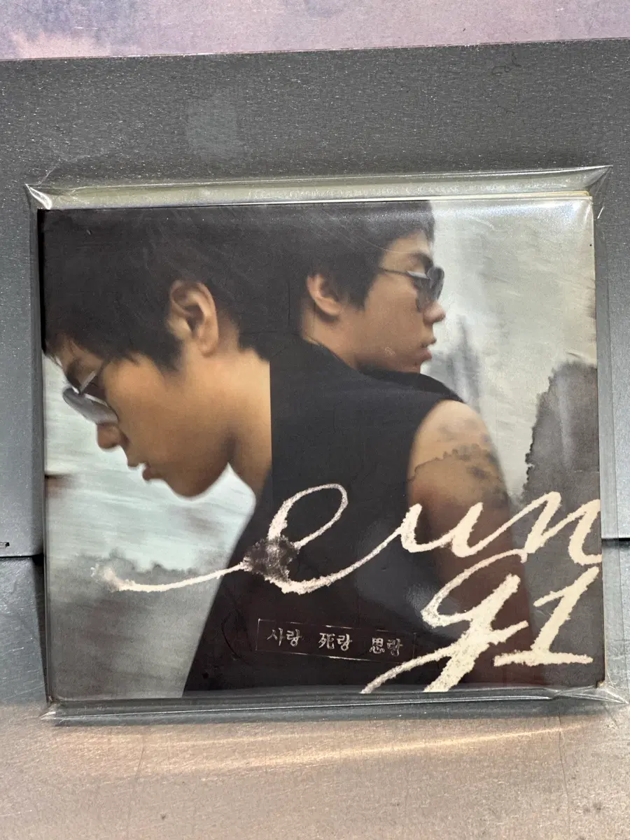 (상태좋음)은지원 싱글 '사랑 (Adios 수록) 정품 CD