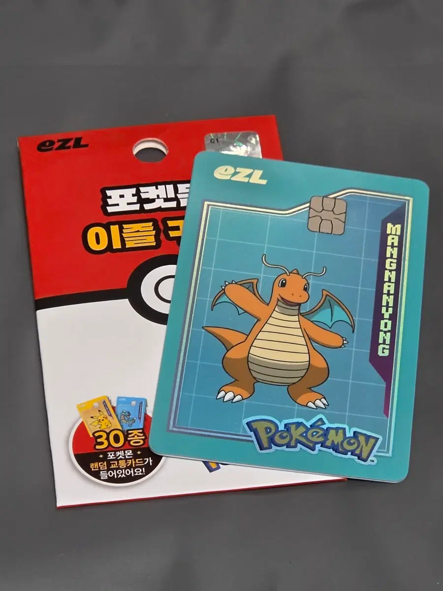 이즐 포켓몬 교통카드 망나뇽