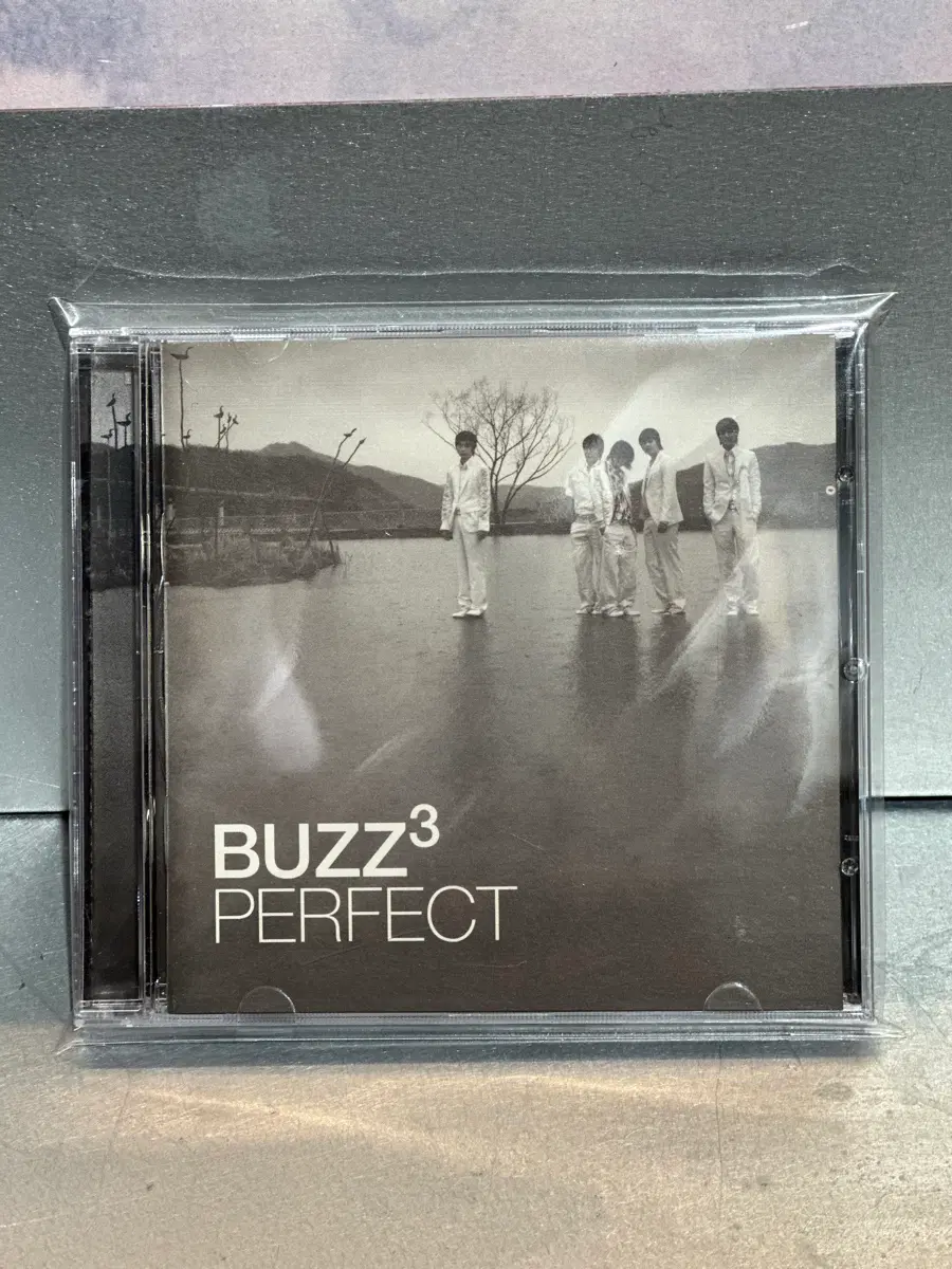 (버즈3 PERFECTION CD(상태좋음 새비닐포장)