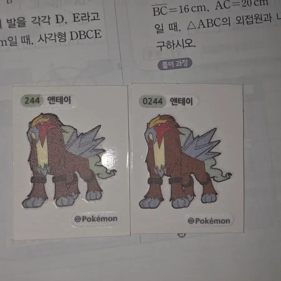 포켓몬 띠부씰 엔테이 2개 판매