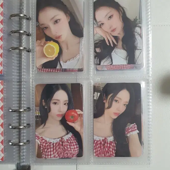 프로미스나인 멤버십 포카 일괄양도
