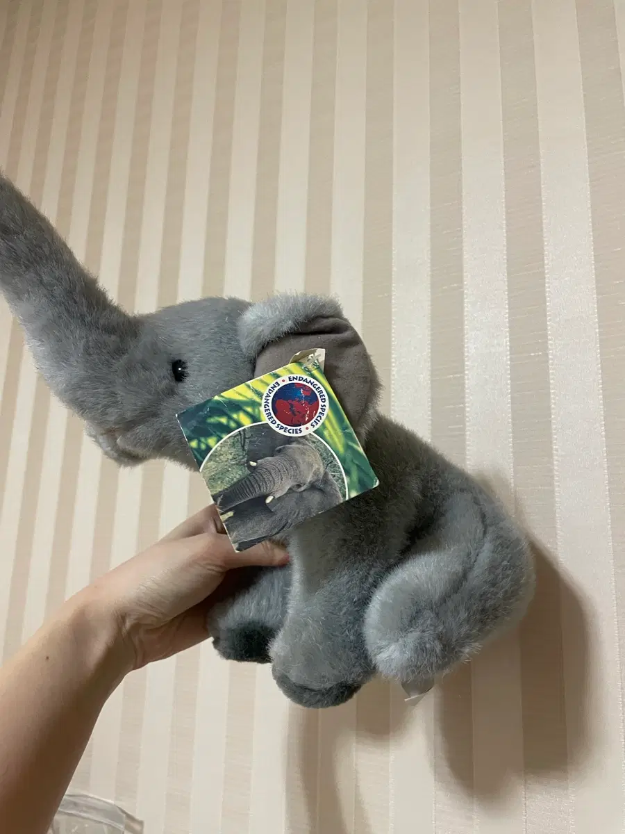 코끼리인형