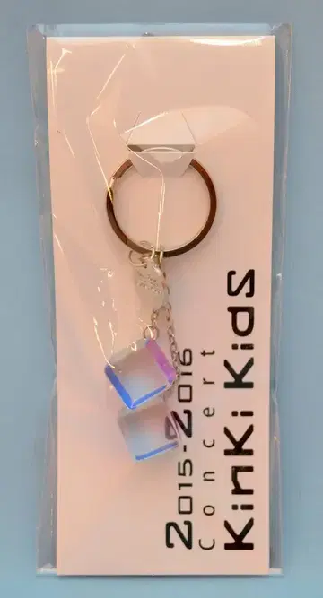 KinKi Kids 2015-2016 콘서트 KinKi KidS 키링