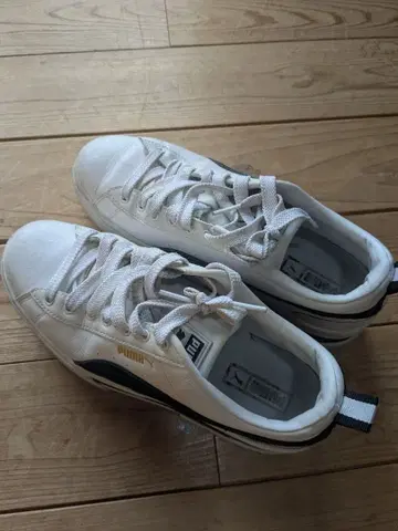 PUMA 스니커즈 화이트 우먼 메이즈 가죽 스니커즈 통굽