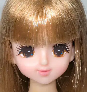 타카라토미 러브 제니