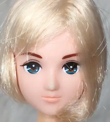 타카라토미 리카짱 꿈꾸는 공주님 로얄 웨딩 하르토 군