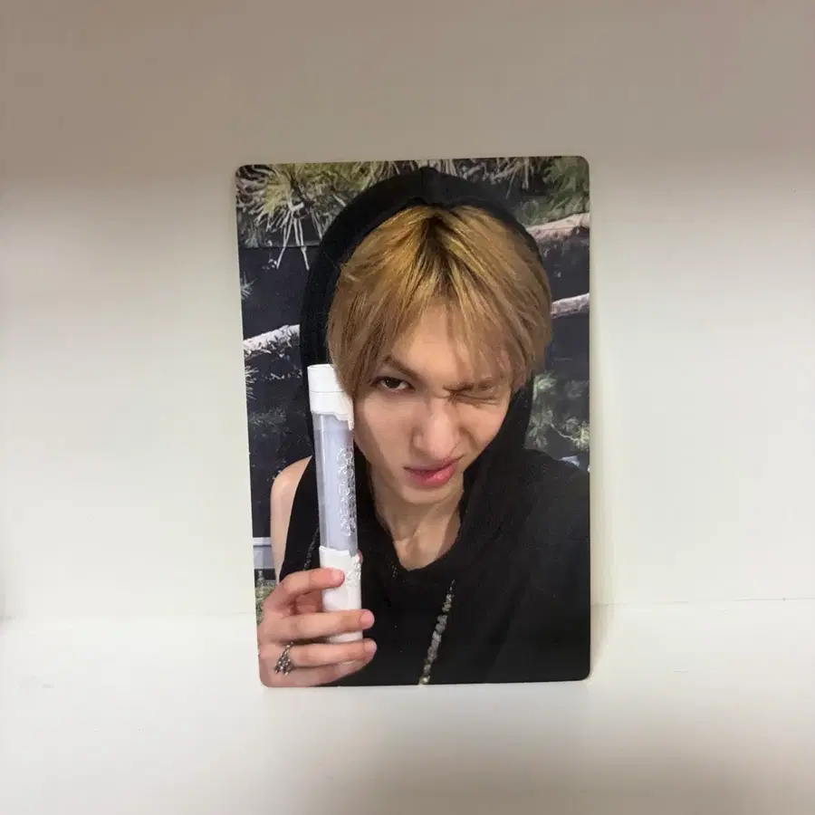 Cortis 코르티스 마틴 응원봉 포카