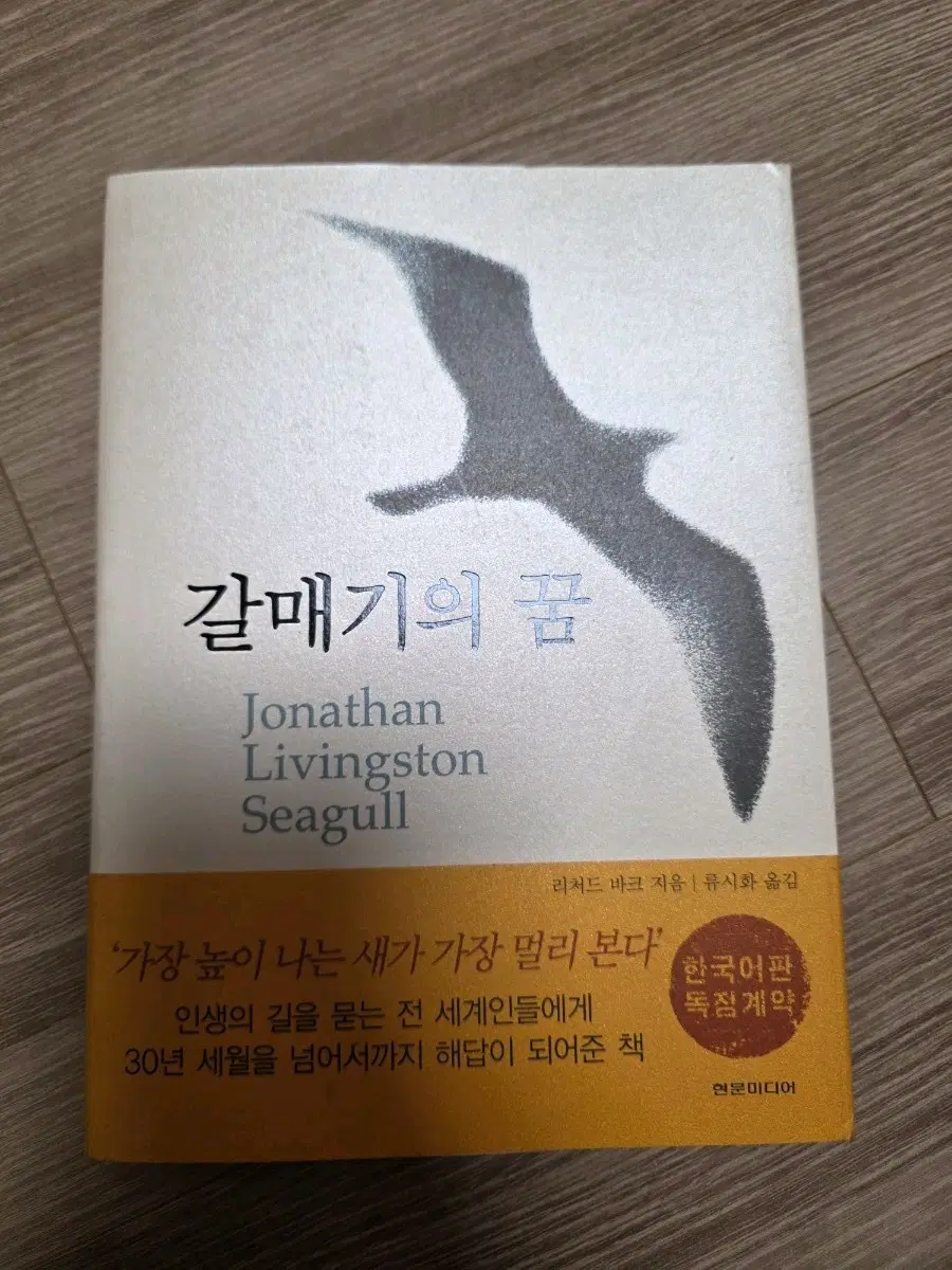 갈매기의 꿈