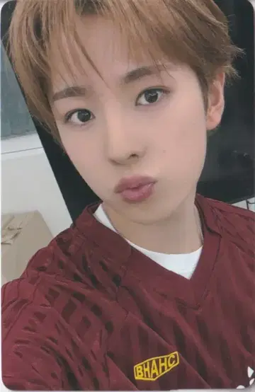 NCT WISH MUSICART FS YUSHI Ode to Love 부산