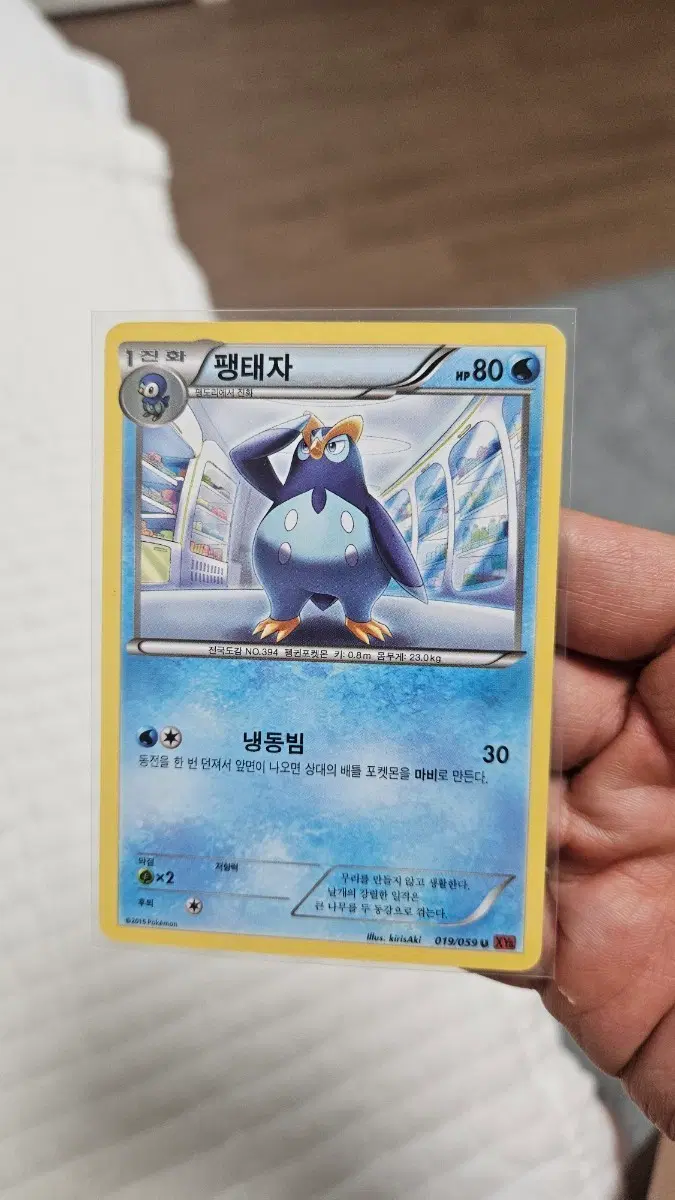 포켓몬카드 고대팩 팽태자 카드 팝니다