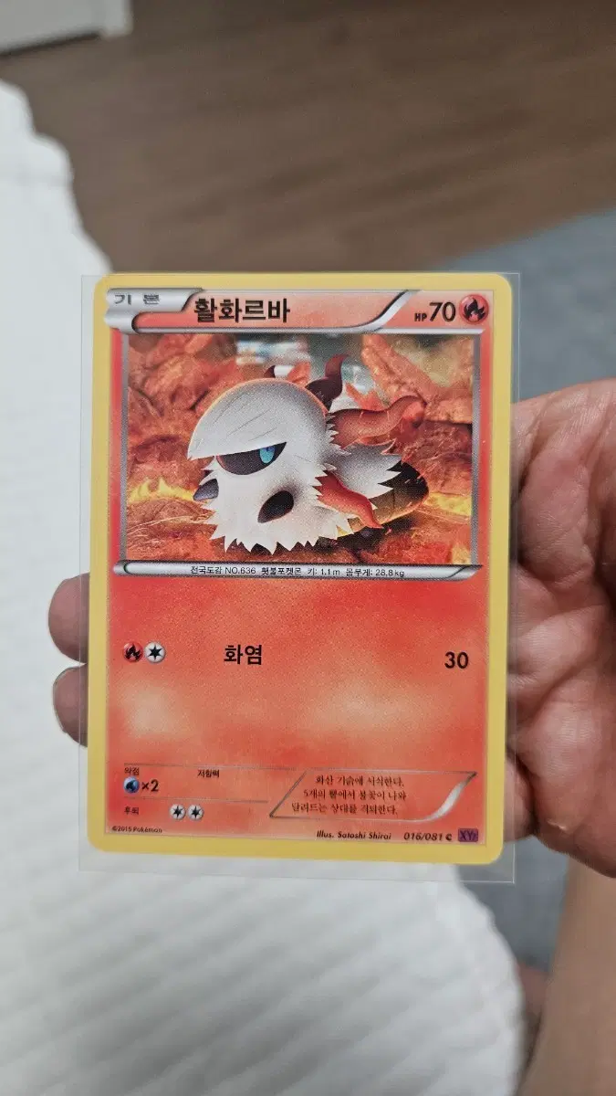 포켓몬카드 고대팩 활화르바 카드 팝니다