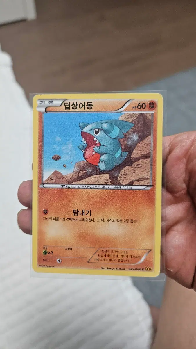 포켓몬카드 고대팩 딥상어동 카드 팝니다