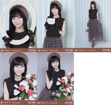노기자카46 WebShop 한정판 이케다 테레사 2026 Valentine 5장 세트