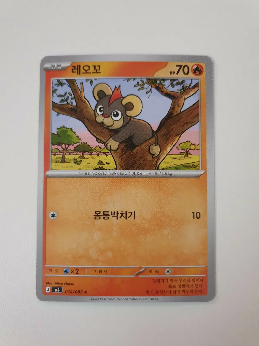 레오꼬 포켓몬카드