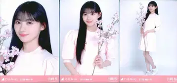 노기자카46 WebShop 한정판 카와사키 사쿠라 2026.May-IV 벚꽃 컬러 코디 컴프