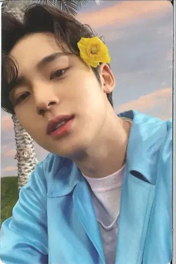 SEVENTEEN SECTOR 17 MINGYU 트레이딩 카드