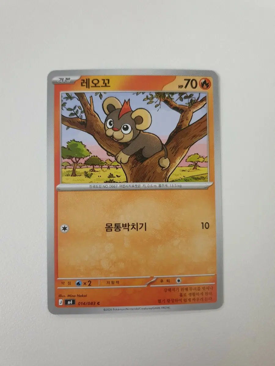 레오꼬 포켓몬카드