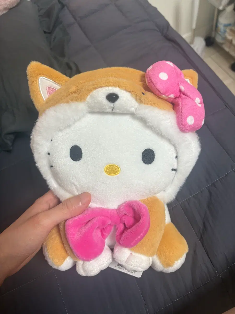 시바견 키티 인형