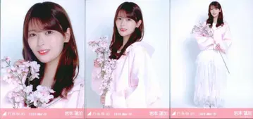 노기자카46 WebShop 한정판 이와모토 렌카 2026.May-IV 벚꽃 컬러 코디 컴프