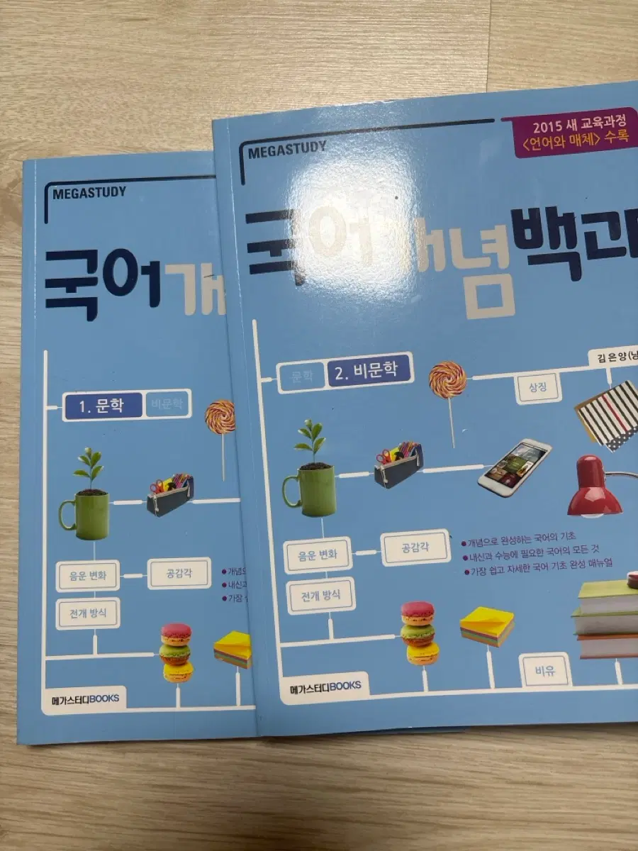 메가스터디 국어 개념 백과 문학 비문학