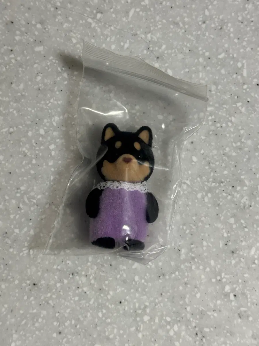 실바니안 블랙탄시바 직립아기