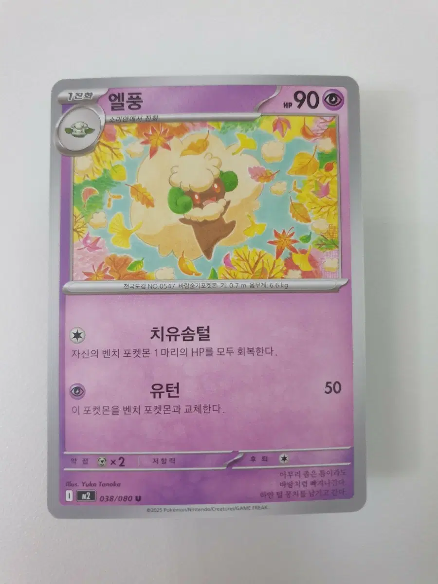 엘풍 포켓몬카드