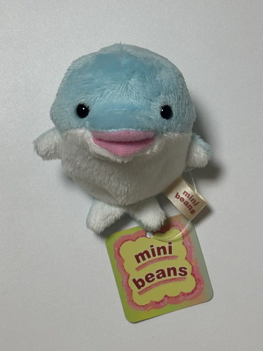 미니빈즈 mini beans 돌고래