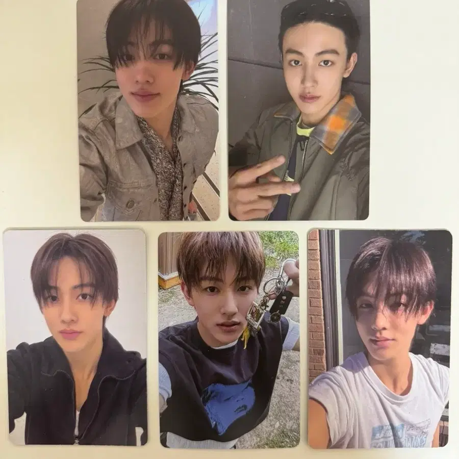코르티스 성현 포토카드
