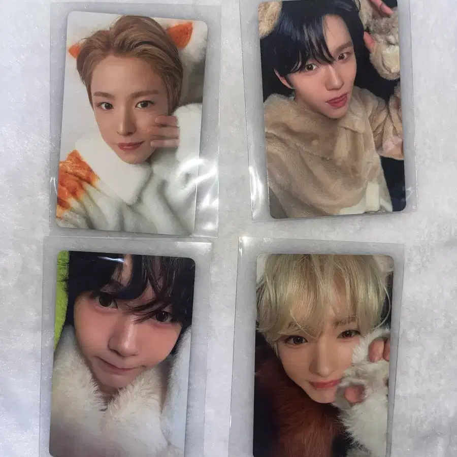 엔시티위시 동물포카 멜론포카