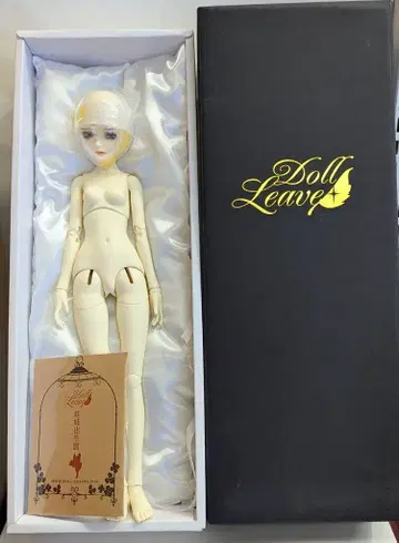 Doll Leaves 1/4 인형 Betty