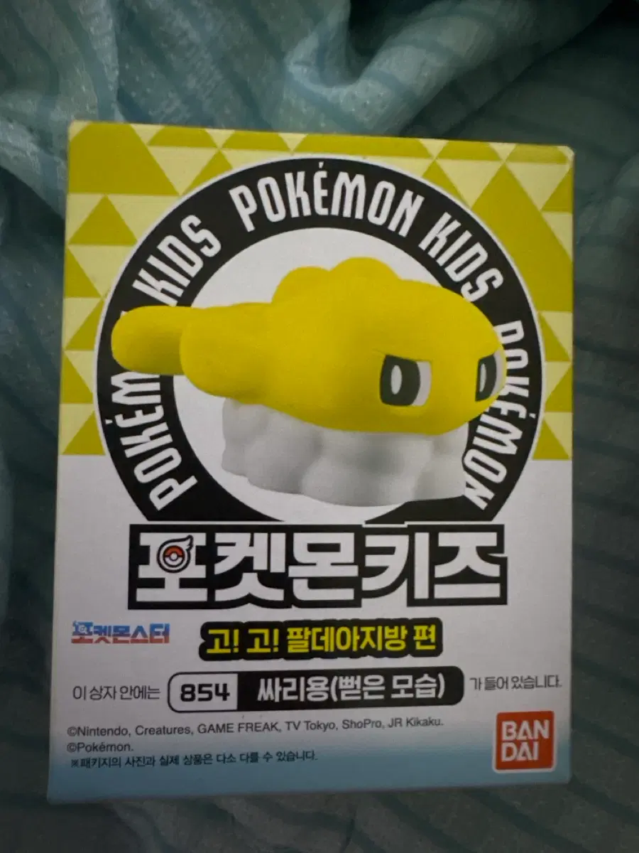 포켓몬키즈 팔데아지방 편 싸리용