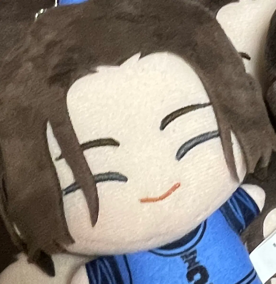 블루록 쿠온 와타루 누이