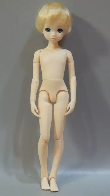 펫웍스 바스켓의 새 ruruko boy
