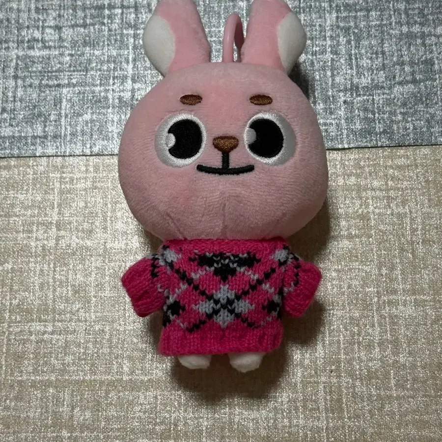 데이식스 데니멀즈 원필 + 핑니