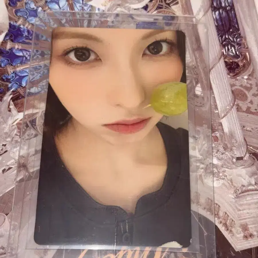 예판 엔믹스 마카오 입장 포카