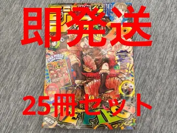 즉시 발송 초특가 주간 소년 점프 연재 29주년 기념호 33호 25권 세트
