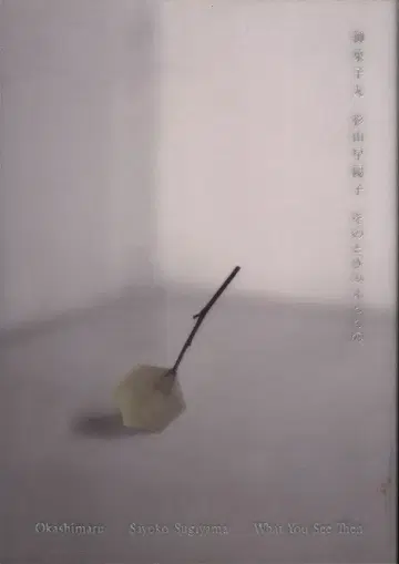 오카시마루 스기야마 하야코 그때 보이는 것