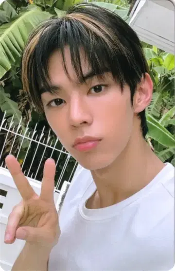 TWS 타워레코드 DOHOON SUMMER BEAT! OUR MEMORIES: NOW