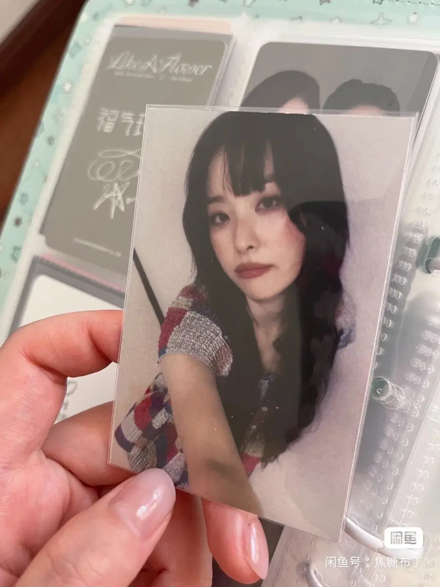 예판 레드벨벳 싱가포르 입장 포카
