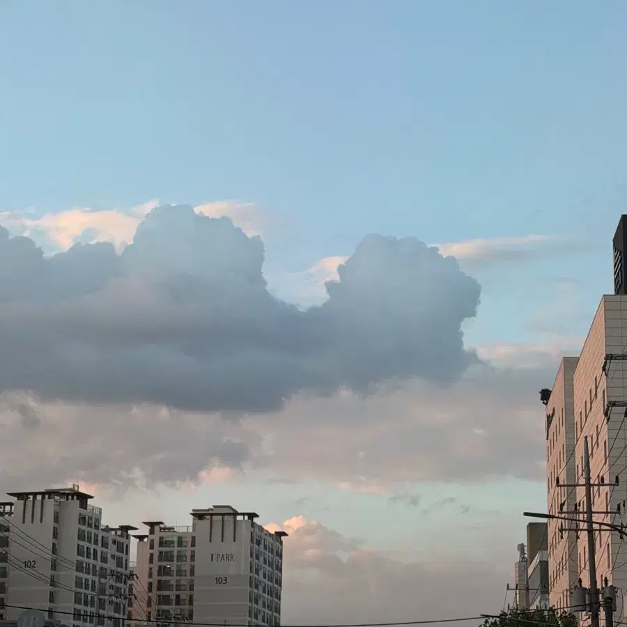 스톤 비니
