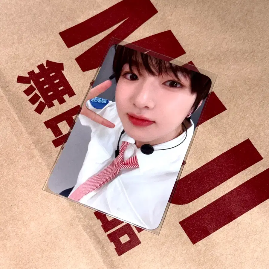 엔시티 위시 티몬 사쿠야 포카