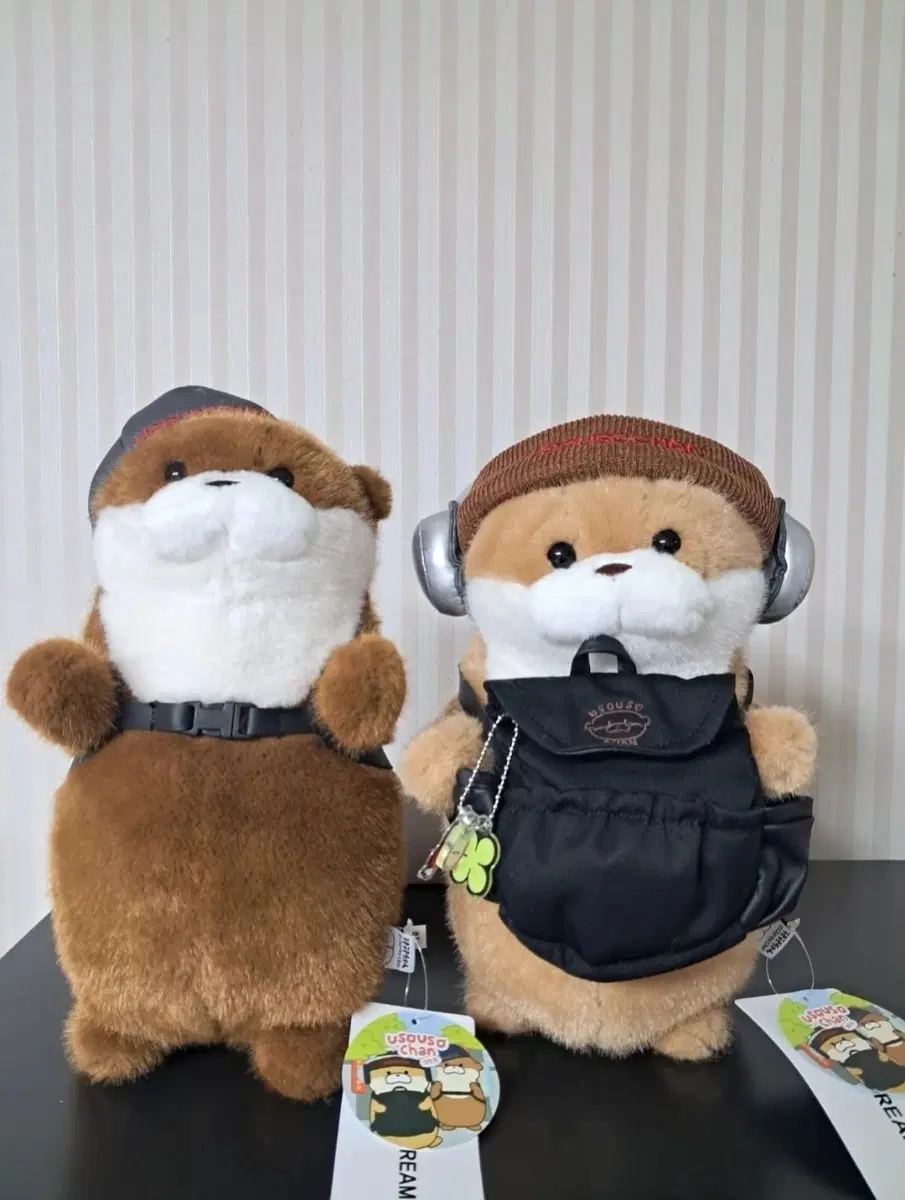 우소우소짱 대학로 중형인형 새상품