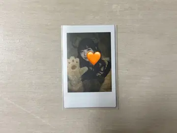 코구마 마무 란체키